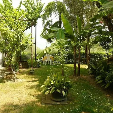 Hotel Silvana Garni Limone sul Garda