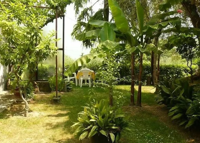 Hotel Silvana Garni Limone sul Garda